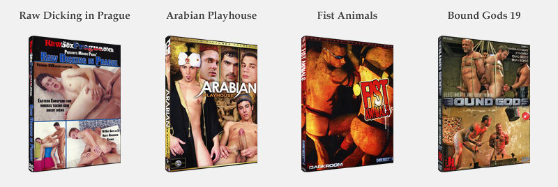 New DVDs on Homoactive.com